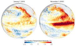 अल नीनो का सबसे गंभीर दौर अभी बाकी, दिसंबर में चरम पर पहुंचने की आशंका: WMO
